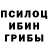 Галлюциногенные грибы Psilocybine cubensis david sulc