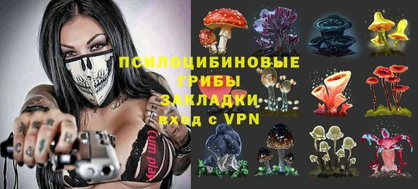 марки lsd Дмитриев