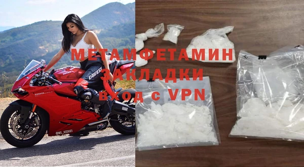 прущие грибы Семикаракорск