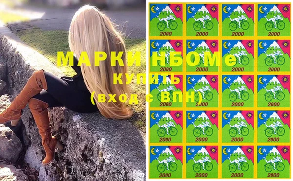 СК Дмитров