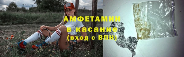 СК Дмитров